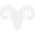 Aries