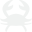 Cancer