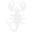 Scorpio